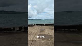 Seawall [upl. by Ewer]