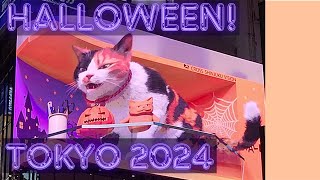 Catzilla 2024 Tokyo Halloween Kitty  新宿ハロウィン猫 [upl. by Eiuqnom116]