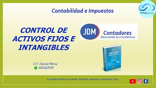 Control de los Activos Fijos e Intangibles [upl. by Dunaville369]