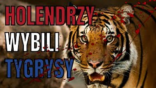 JAK Holenderscy Kolonizatorzy Doprowadzili Do ZAGŁADY Tygrysów 🐅 [upl. by Ardine971]