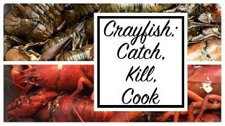 Crayfish Catch Kill Cook [upl. by Bremen]