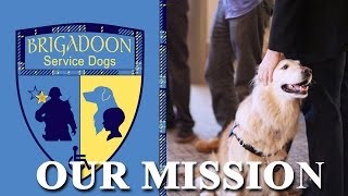 Brigadoon Service Dogs Our Mission [upl. by Smoot]