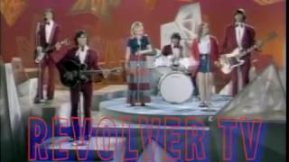 The Cowsills We can fly 1971 [upl. by Aleuqahs]