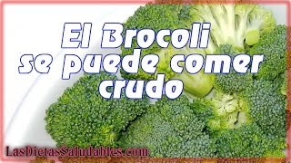 El BROCOLI Se Puede Comer Crudo [upl. by Xuagram888]