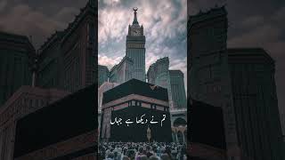 Ek Din Jibreel Se Kehne Lage Shahe Umam ll🥰 Nat Lyrics statusMadina status ll madina shortsvideo [upl. by Jahdai]