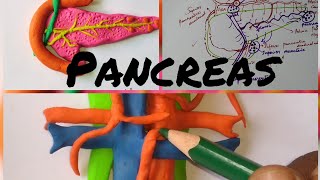 Anatomy of Pancreas  full lecture [upl. by Etac]