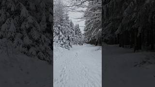 Winterzeit in Winterberg christmas schnee winter winterberg shorts sauerland ausflugstipps [upl. by Okire]