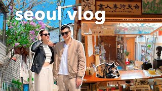 spring in korea 🍡 cute seoul neighborhood CAT bookstore 📚🐈 traditional korean desserts  vlog [upl. by Lotti]