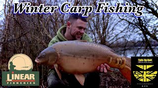 Winter Carp Fishing 2019  Linear Fisheries  Oxlease amp Brasenose 1 [upl. by Afital]