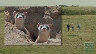 Panhandle Wildlife Leader Calvin Richardson [upl. by Aikehs]