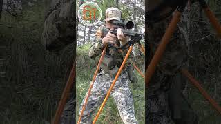 Compilation de tirs 2023 chasse tir shots hunting [upl. by Nisay532]