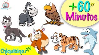 Animales para niños  1 hora de videos con animales [upl. by Ecirtnahc13]