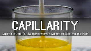 Capillarity and its real time applications  Tamil  Engineering concepts [upl. by Bollinger]