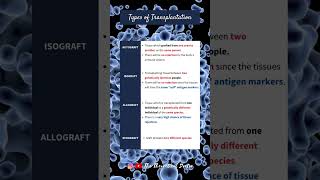 Types of Transplantation Autograft Isograft Allograft amp Xenograft PreU Biology shorts short [upl. by Llerret637]