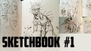 Sketchbook January  May 2018 [upl. by Daffy]