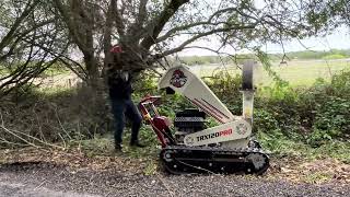 Best small wood chipper Foxwood [upl. by Nekal]