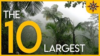 The 10 Largest Forests on Earth [upl. by Aeneas]