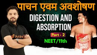 पाचन एवम अवशोषण Digestion and Absorption  NEET11TH  Class 11 Biology Chapter 16  Yogesh Sir [upl. by Alessig]