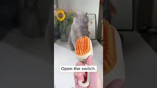 Pet spray comb shorts viralvideoexplore shortsfeed petcare catshortspetlovers funnypets usa [upl. by Ragan]