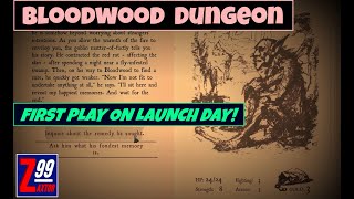 Bloodwood Dungeon  First Play on Launch Day  A Well Written Little RPG Choose Ur Own Adventure [upl. by Idissak]