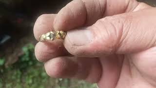 i found gold ring using gofind 22 detector [upl. by Ahmed]