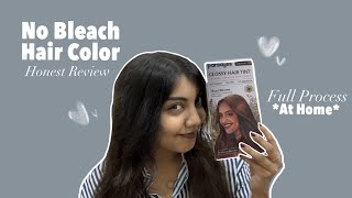 Coloring My Hair Brown Without Bleach  Paradyes Glossy Hair Tint  Hazel Brown  Process amp Review [upl. by Naletak]