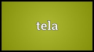 Tela Meaning [upl. by Enyallij]