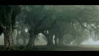 Live Oak Trees of Louisiana [upl. by Kerat663]