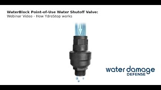 WaterBlock PointofUse Water Shutoff Valve Webinar Video  How WaterBlock works [upl. by Bondy]