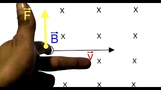 REGLA DE LA MANO IZQUIERDA Campo magnético [upl. by Ethelinda712]