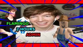 2 Hours of Flamingo Admin [upl. by Aenneea262]