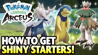 How to get SHINY STARTER POKEMON in Pokemon Legends Arceus [upl. by Ainnek]