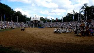 Kaltenberger Ritterturnier 2016 Turnier Show So Teil 13 [upl. by Yrac370]