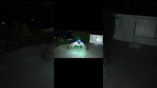 What is the creature 🥶😱😱 scary moster weired diwali iykwim [upl. by Ayvid]