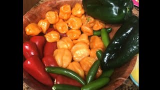 Mango Habañero Hot sauce [upl. by Sanders396]