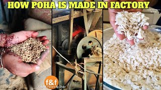 जानिए फैक्ट्री में कैसे बनता है पोहा How poha is made in Factory Flatten Rice Making Process [upl. by Alfreda]