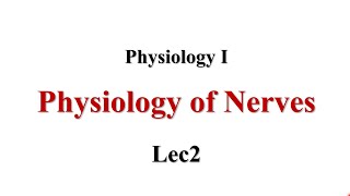 Resting Membrane Potential RMP Lec2 Physiology I [upl. by Ogdan]