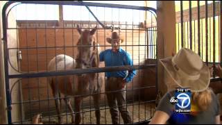 ‘Horse whisperer’ works to heal veterans with PTSD [upl. by Teraj]