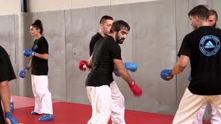 Rafael Aghayev adidas Training Seminar 2016 [upl. by Iverson804]