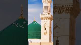 Hadees zonehadees ki baateinhadees in urduvirelshorts trendingshort like sharesubscribe [upl. by Sabba]