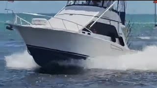 BOATING ADVENTURES AT THE VENICE FLORIDA JETTY – THRILLS AND SUNSHINE AWAIT [upl. by Mcclenaghan]