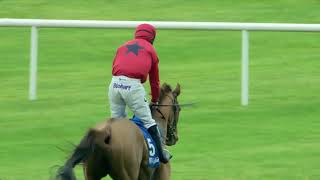 Fairyhouse Highlights 6th Of November 2018 [upl. by Euqilegna]