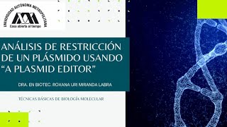 Análisis de Restricción de un plásmido usando ApE [upl. by Nakada]