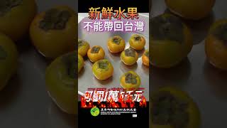 新鮮水果 不能帶回臺灣！開罰1萬5千元！ 檢疫物速報【防檢署APHIA】 [upl. by Zulaledairam]