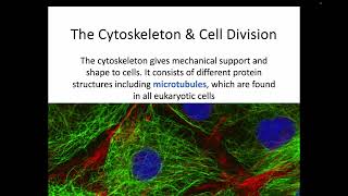 AH Biology 15a  The Cytoskeleton amp Cell Division [upl. by Ahsimaj]