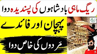 Regmahi Ke Kya Fayde Hain  Regmahi Ke Fayde In Urdu Hindi  Raig Mahi Benefits  ریگ ماہی کے فائدے [upl. by Atteynot]