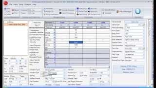 Flowserve Control Valve Sizing [upl. by Akiv]