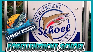 Forellenangeln bei der Forellenzucht Schoel  Stramme Schnüre  Folge 28 [upl. by Brause799]