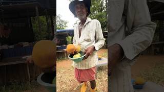 🇱🇰 Rs150 Bael Fruit  බෙලි  வில்வப்பழம்  shorts viral food [upl. by Accisej323]