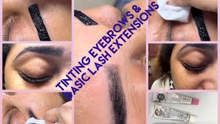 Tinting Eyebrows amp Basics Lashes 2024 [upl. by Cherilynn485]